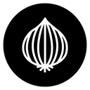 Onion 2 icon