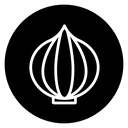 Onion icon