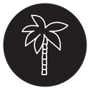 Palm tree icon