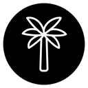 Palm tree icon