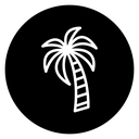 Palm Tree icon