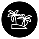 Palms on island icon