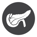 Pancreas icon