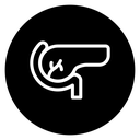 Pancreas icon