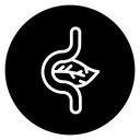 Pancreas icon