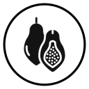 Papaya (2) icon