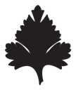 Parsley Leaf icon