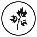Parsley Sprig Badge icon