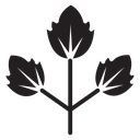 Parsley icon