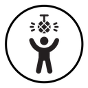 Party icon