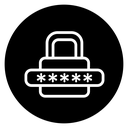 Password icon
