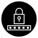 Password icon