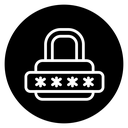 Password icon