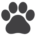 Paw 4 icon