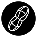 Peanut icon