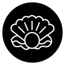 Pearl 2 icon