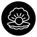 Pearl in the open shell icon