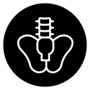 Pelvic area icon