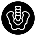 Pelvic area icon