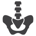 Pelvic area icon