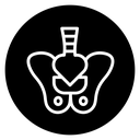 Pelvis icon