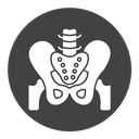Pelvis Black Filled icon