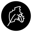 Pest plant icon