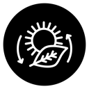 Photosynthesis icon