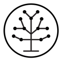 Phylogenetic tree icon
