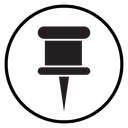 Pin icon