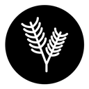 Pine branch icon