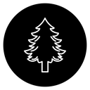 Pine Trees icon
