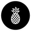 Pineapple 2 icon