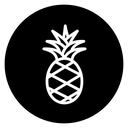 Pineapple icon