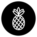 Pineapple icon