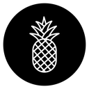 Pineapple Black Filled icon