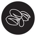 Pistachio icon