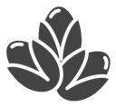 Pistachio icon