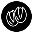 Pistachio icon