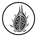 Pitaya icon
