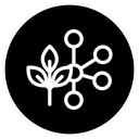Plant based protein icon