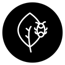 Plant pests icon