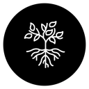 Plant Roots icon