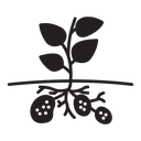 Potato plant Black Filled icon