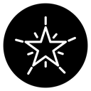 Premium star icon
