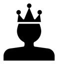 Premium user icon