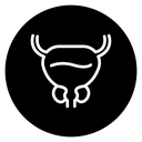 Prostate icon