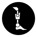 Prosthetic eleg icon
