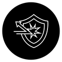 Protection Shield icon