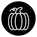 Pumpkin icon